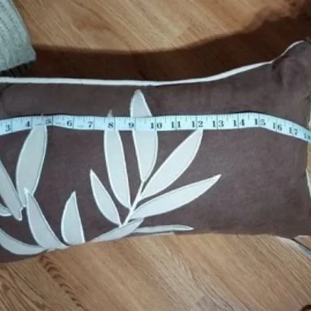 Decorative throw pillow.